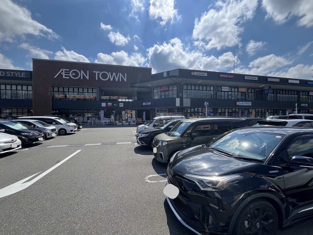 イオンタウン川西