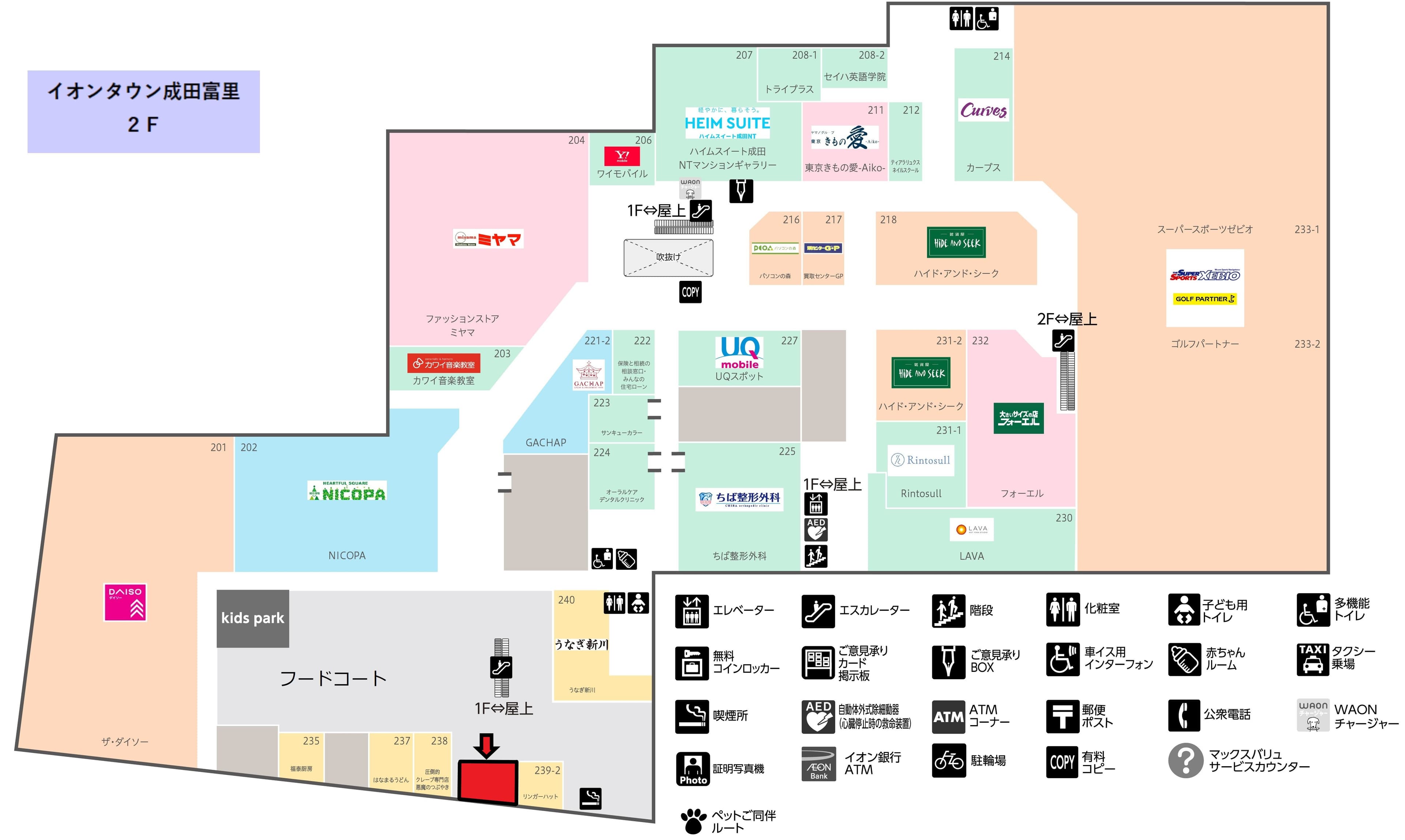 成田富里239-1:13.64坪 飲食:フードコート(カフェ、和食、蕎麦、洋食、ラーメン)の図面・フロアマップ