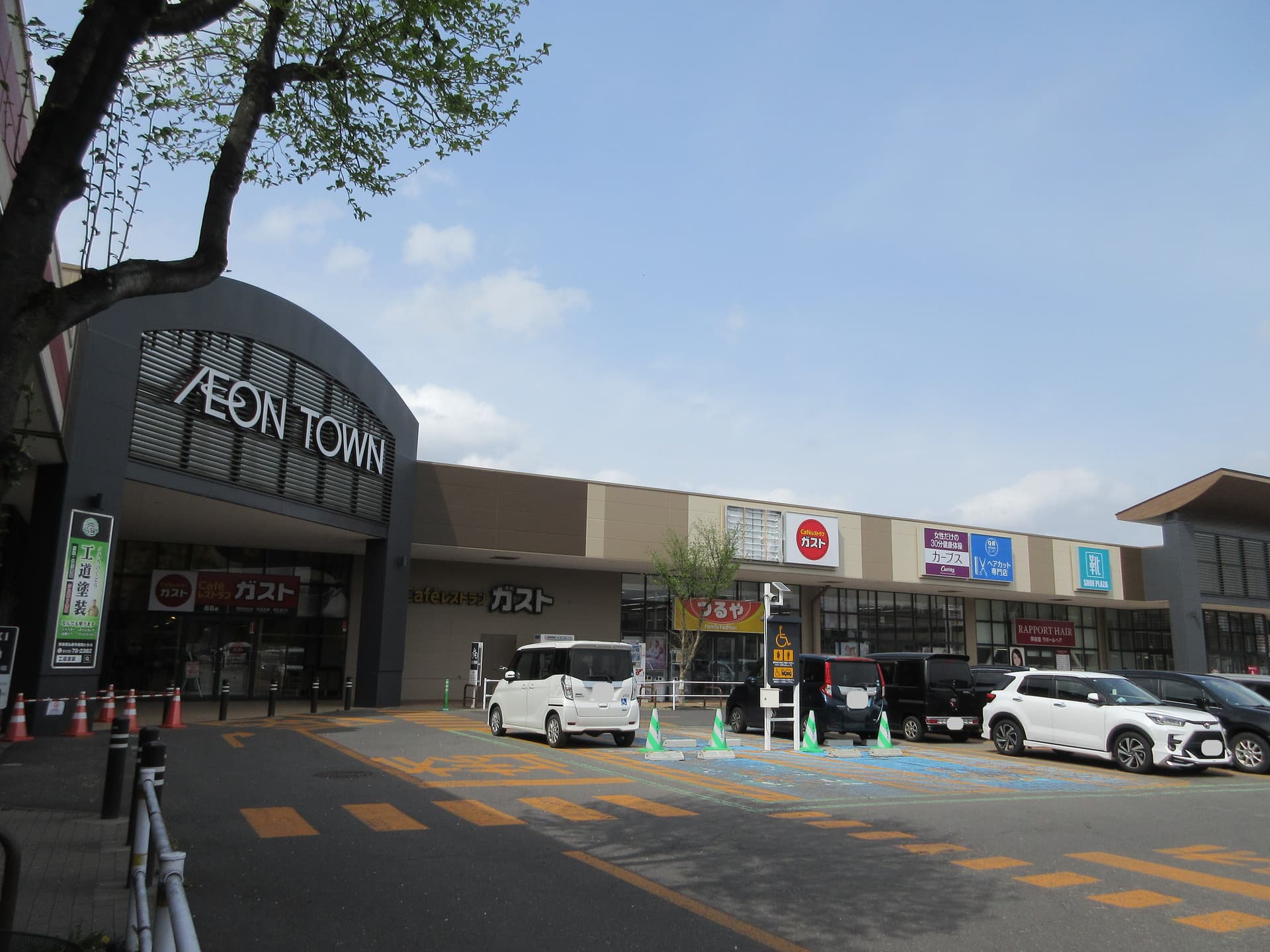 活動歴および当時の関連ビジュアル記録