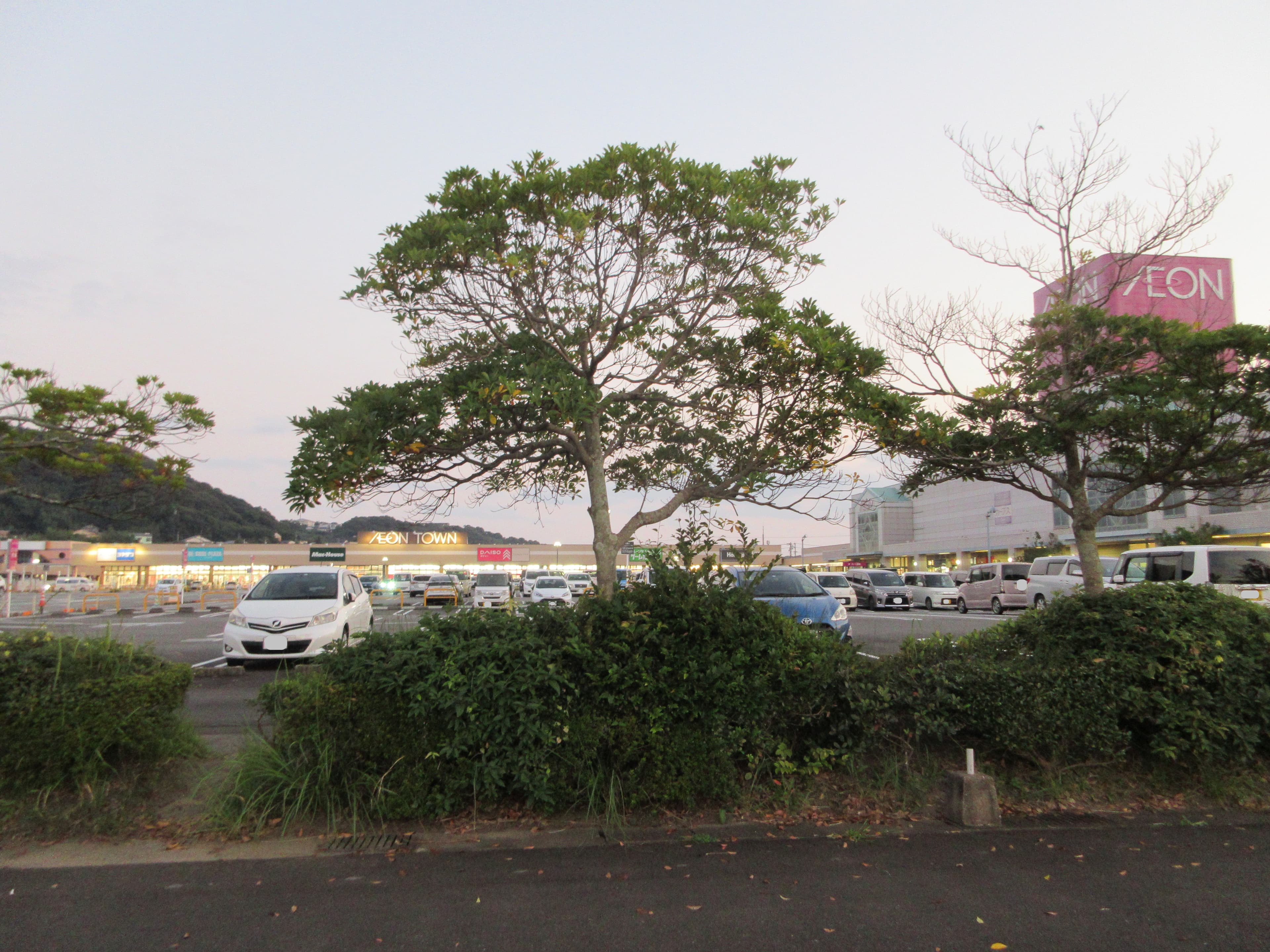 日向D棟:299.48坪 物販(靴、衣料(メンズ、レディース、キッズ)、携帯、リサイクルショップ、サービス(フィットネス、カラオケ)の図面・フロアマップ1